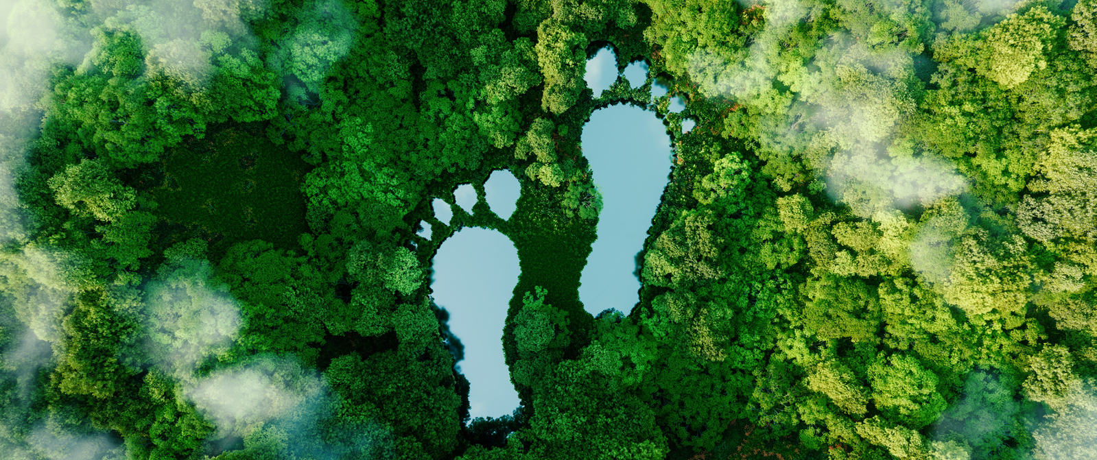 footprint_landscape